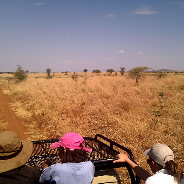 11 Days 10 Nights best of Uganda safari