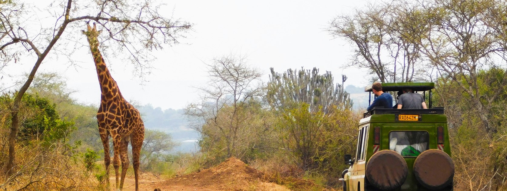 2 Days 1 Night Wildlife Safari in Akagera National Park Rwanda