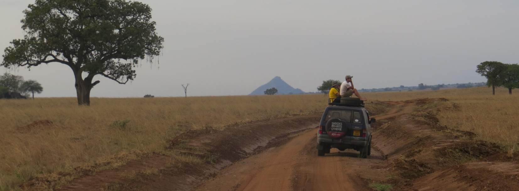 4 Days 3 Nights Fly In Kidepo National Park Wildlife Tour