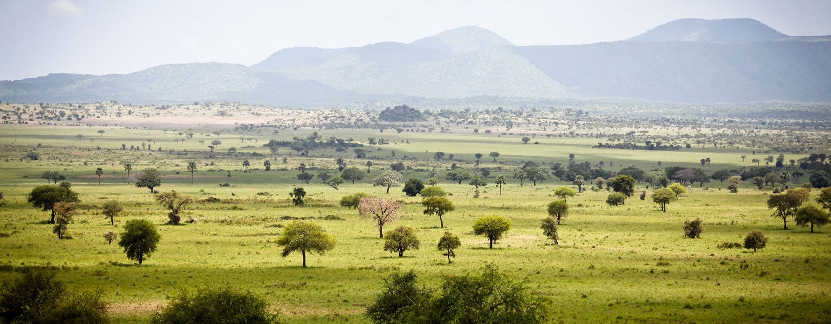 4 Days 3 Nights Safari in Kidepo National Park Uganda